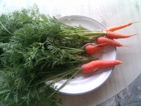 20100215Farm Visit50.jpg